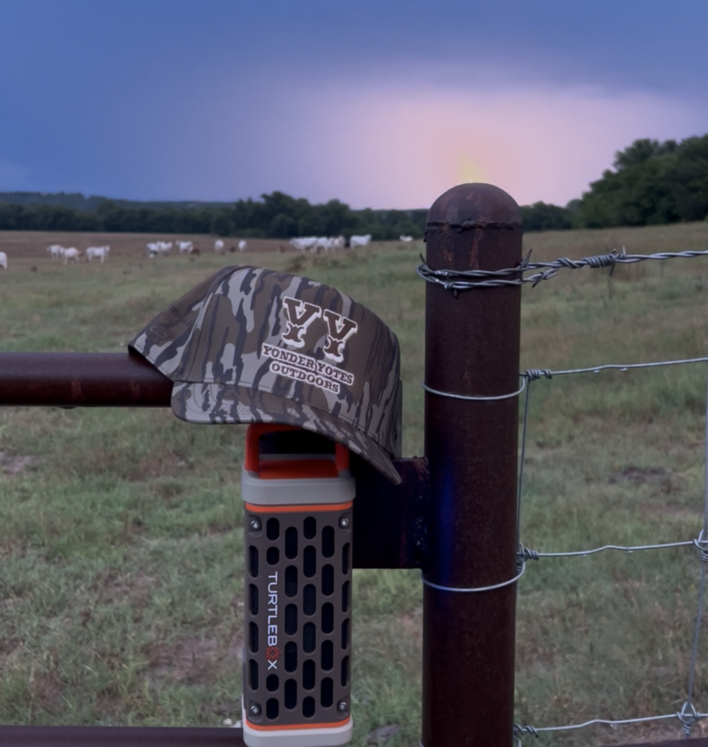 Bottomland Western