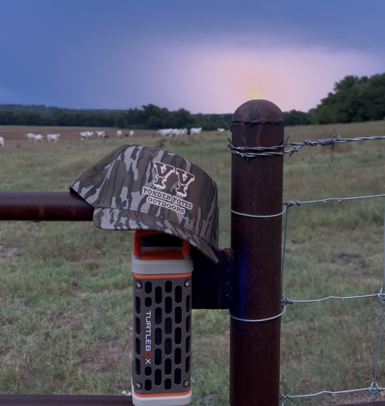 Bottomland Western